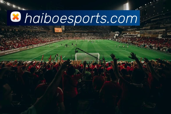 海博电竞资讯服务体系